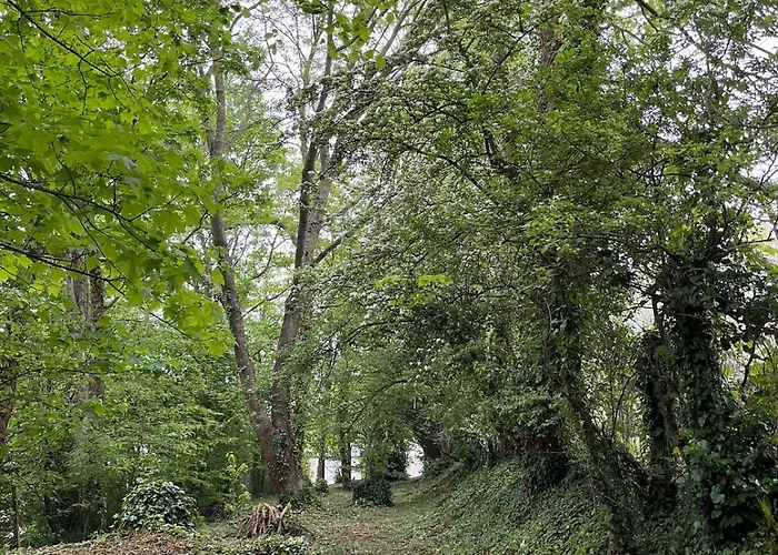 Victory Omaha 度假居