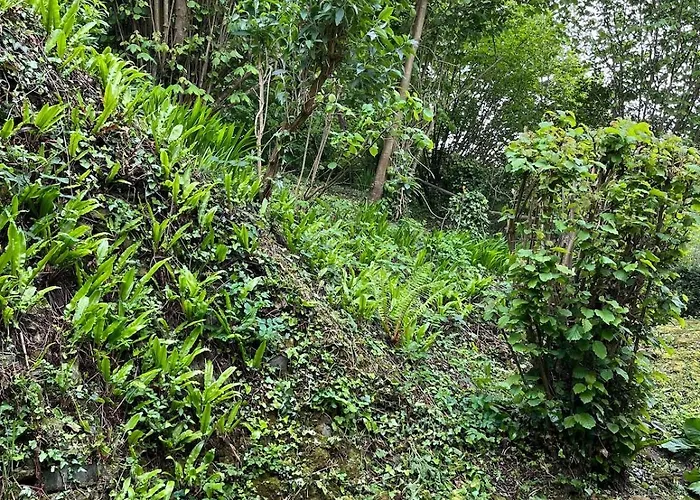 度假居 Victory Omaha 滨海圣洛朗